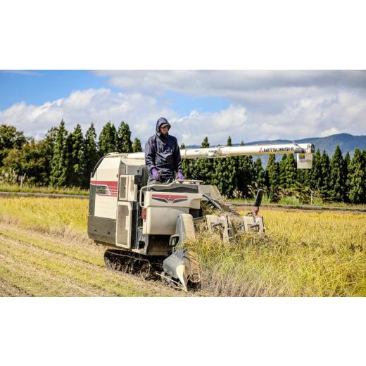 ふるさと納税 新潟県 津南町 県認証 魚沼津南産新之助 20kg 産地限定！農家直送