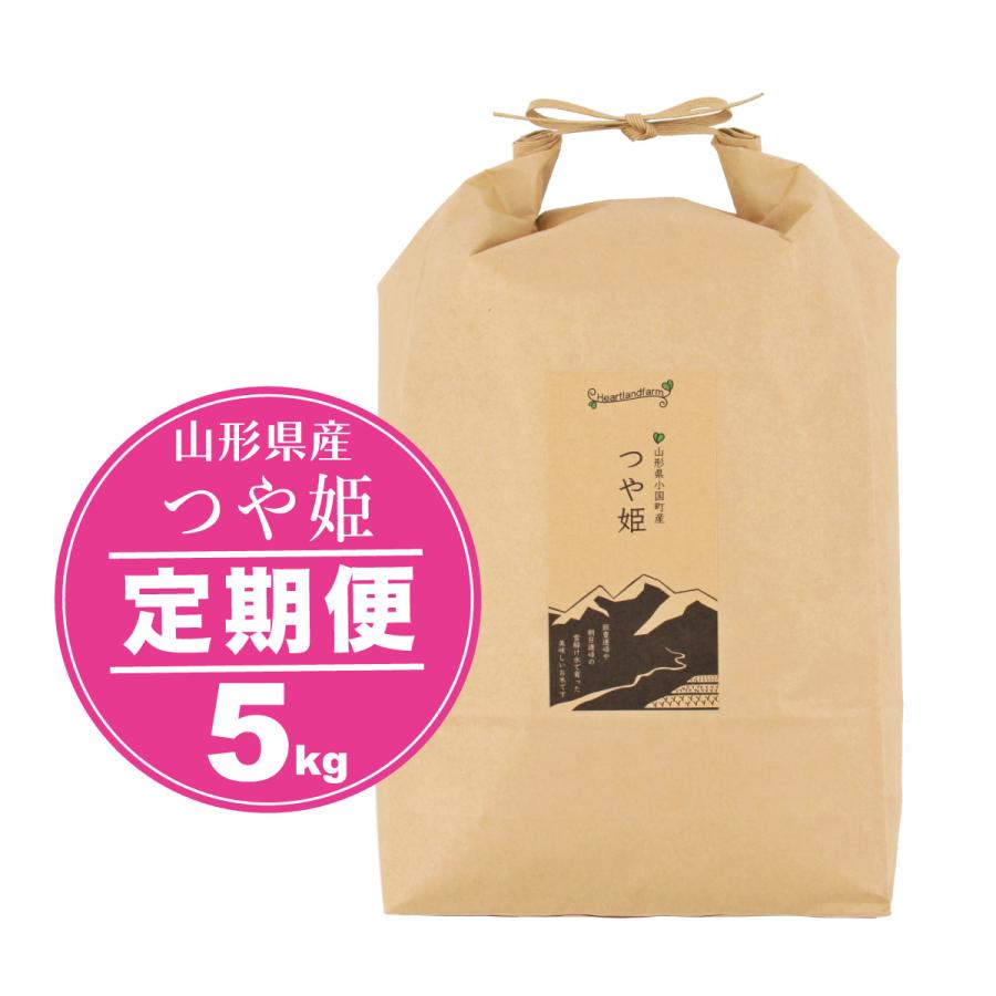 新米 つや姫 定期便 定期購入 お米 5kg 山形県 令和5年産 精白米 送料無料（一部地域を除く）