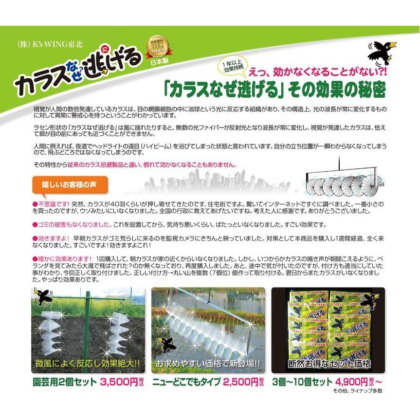 カラスなぜ逃げる? 標準タイプ お得な3個セット 撃退率95％以上 カラス撃退 カラス対策