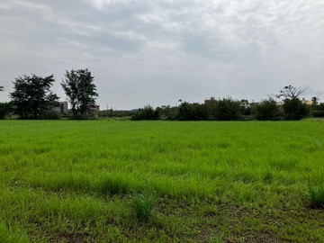 104草漯重劃區旁一般農｜桃園市觀音區樹林段