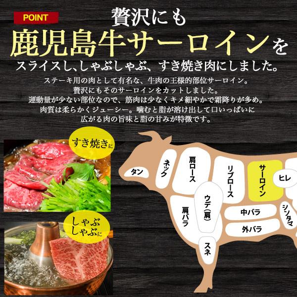 鹿児島牛 特選ロース サーロイン 300g 冷凍便 お肉 牛肉 和牛 肉 贅沢 ギフト 贈答用 霜降り 新築祝い 誕生日祝い 内祝い 熨斗 のし お歳暮