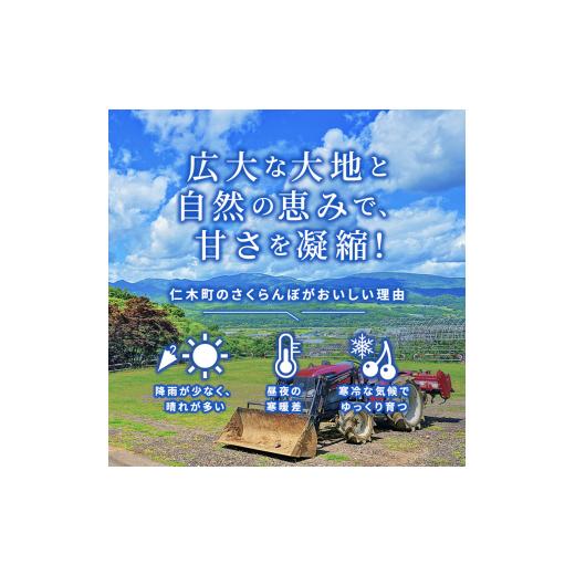 ふるさと納税 北海道 仁木町 先行予約 北海道 仁木町産 ご自宅用 さくらんぼ （ 徳用 ）約2kg 仁木ファーム果実 フルーツ 名産地 お取り寄せ