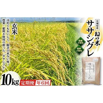 ふるさと納税 加美町 希少品種「ササシグレ」玄米10kg 全6回