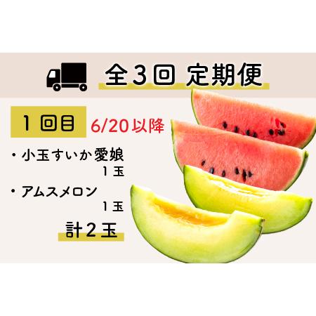 ふるさと納税 ≪定期便 全3回≫フルーツ王国あわらのこだわり5品 農家直送 厳選品／ 期間限定 果物 フルーツ 青肉メロン 赤肉メロ.. 福井県あわら市