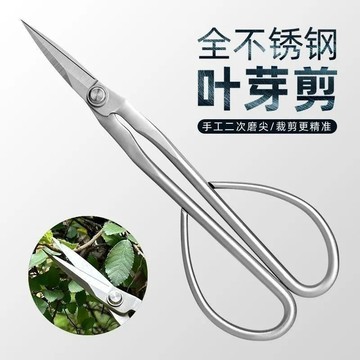 💥免運💥臺灣出貨🚚葉芽剪 鋒利修枝剪 盆景造型修剪插花剪園藝剪刀 耐用園藝剪 摘果剪樹枝剪 葉芽剪鋒利修枝剪盆景造型