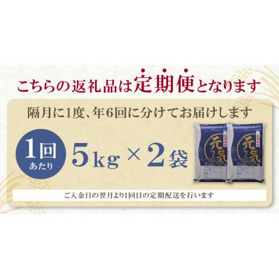 ふるさと納税 福智町 研ぐお米 福岡県産・元気つくし10kg定期便(隔月・年6回)