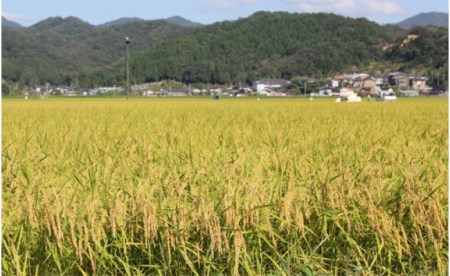 令和５年産　コウノトリ育むお米無農薬（94-002）