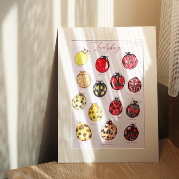 【瓢蟲小姐】水彩插畫 圖鑑 A4 藝術紙複製畫 連紙框 昆蟲 自然