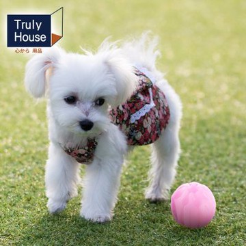 Truly House 寵物發光球 解悶玩具 發光貓球 逗貓 寵物