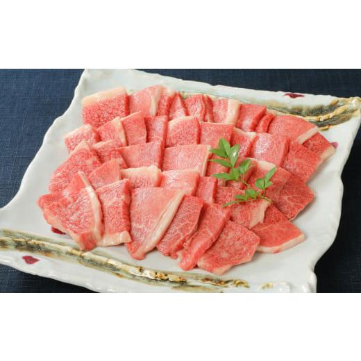 ふるさと納税 佐賀県 伊万里市 バラエティ美味 焼肉セット 牛肉 豚肉 鶏肉 1.1kg J298