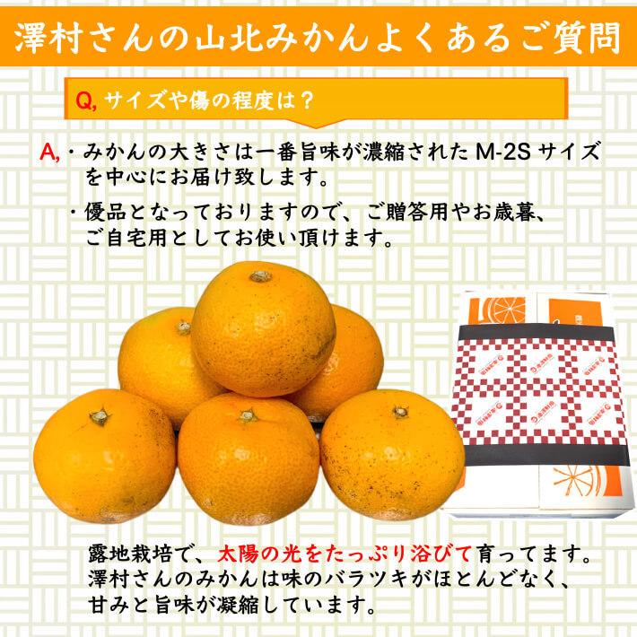 山北みかん 減農薬 優品 約10kg 生産者限定 温州みかん お歳暮 高知県産