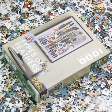 圖鑑拼圖－鳥類羽毛品種圖鑑｜賽先生科學工廠