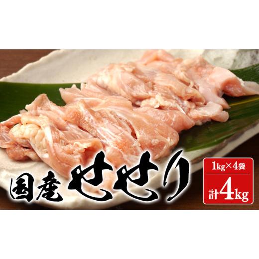 ふるさと納税 鹿児島県 垂水市 D4-2104／幻のせせり（小肉） ４kg