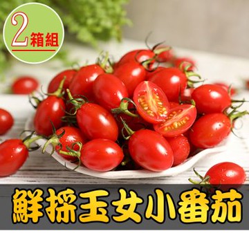 【享吃鮮果】鮮採薄皮玉女小番茄2箱(1800g±1.5%/箱)