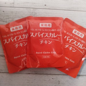 業務用スパイスカレー チキン 170g×3袋 メール便送料無料 ポイント消化 500円