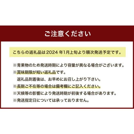 ふるさと納税 福岡県 広川町 先行予約 あまおう×あまおうセット 約2.1kg