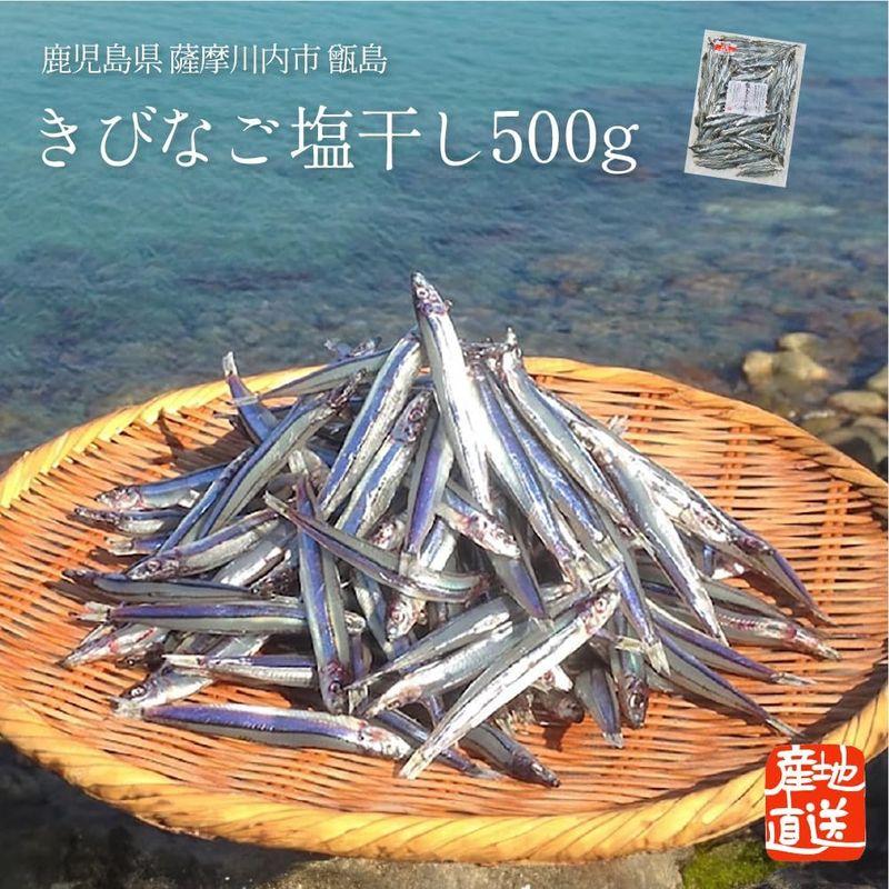 きびなご塩干し 500g 鹿児島県 長島町 甑島産 薩摩川内市 馬場水産加工場 きびなご キビナゴ 塩干 塩干し 鹿児島県産 鹿児島 ご当地