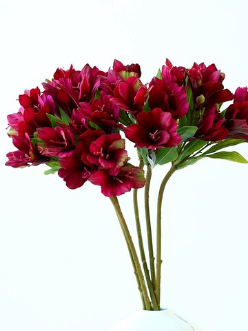 蘭花仿真花假花客廳裝飾擺件尤加利葉diy花束美艷德國蘭