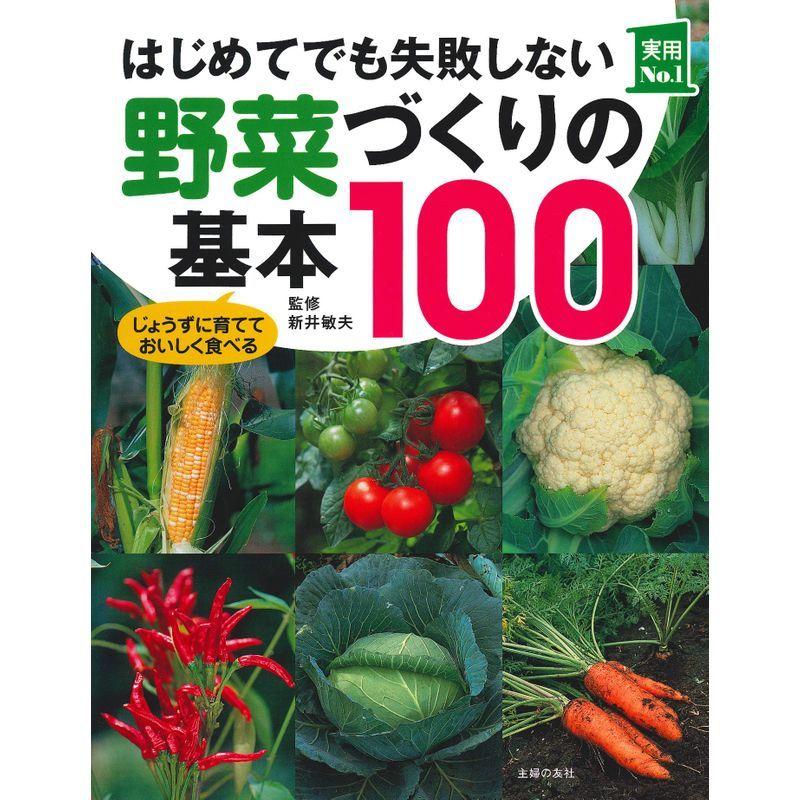 はじめてでも失敗しない野菜づくりの基本100