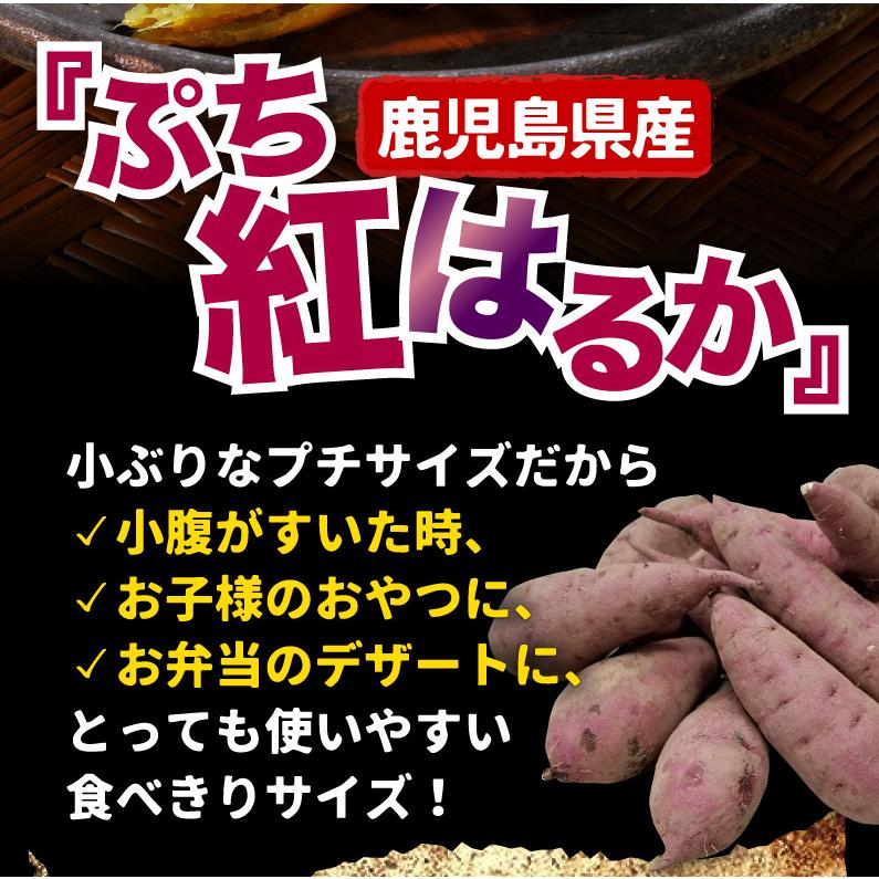 ポイント5倍 鹿児島県産 ぷち紅はるか 5kg サツマイモ 生芋 小さいサイズ  プチ さつまいも 土つき 産地直送 送料無料 S常