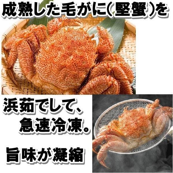 毛ガニ ５００g   １尾 北海道産 生食用 ボイル  堅蟹 身入り しっかり 焼きガニ