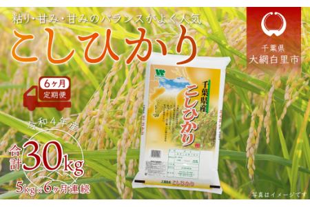 ＜6ヶ月定期便＞千葉県産「コシヒカリ」5kg×6ヶ月連続 計30kg