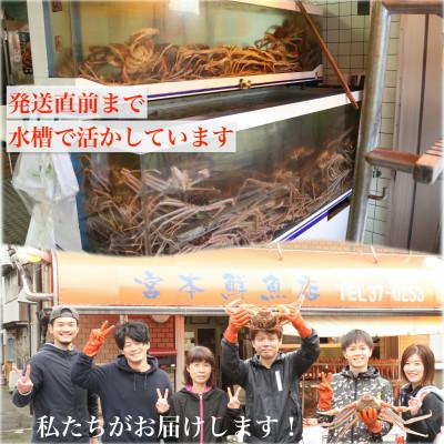 ふるさと納税 越前町 〈浜茹で〉越前産せいこがに　3杯(生で合計約600g)