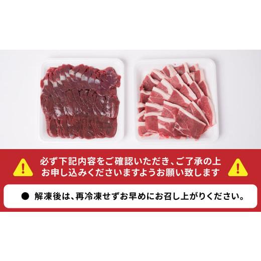 ふるさと納税 熊本県 八代市 自然のめぐみ 猪肉 500g 鹿肉 500g 合計1kg ジビエ