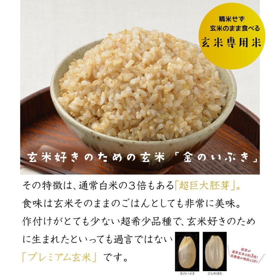 宮城県産金のいぶき(玄米食専用) 5kg 宮城県 返品種別B