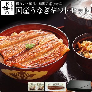 ギフト セット 国産 うなぎ 蒲焼き 超特大200g×1本ときざみ鰻2食 送料無料 ギフトセット 贈り物 結婚 出産 お見舞 お歳暮 御祝 御礼 う