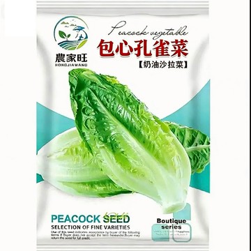 【原廠包裝】包心孔雀菜種子（Cabbage Heart Peacock Vegetable） 尖葉A菜 快收蔬菜