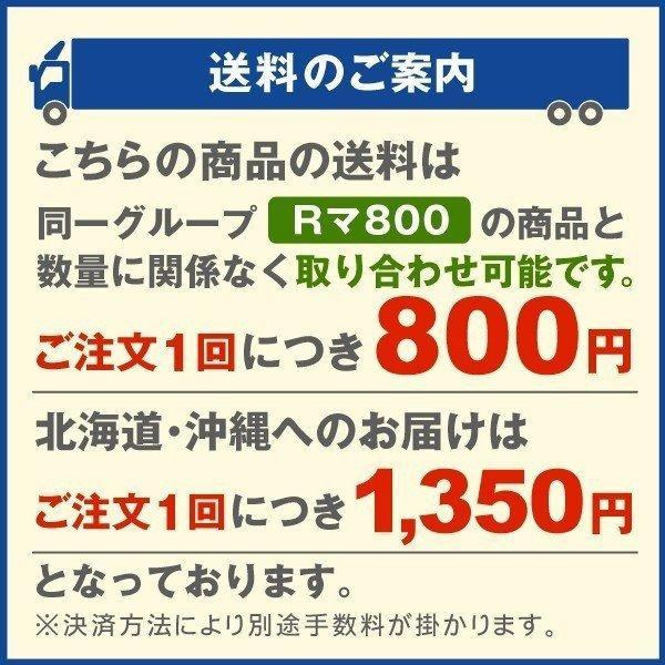 保温マット 電源式 植物育苗ヒーターマットL  サーモスタット付き 種まき 育苗 ラン 蘭 保温 横122×縦53 育苗器 育苗機 サーモ付 国華園