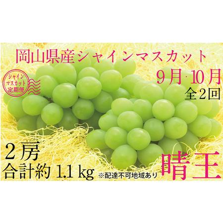 ふるさと納税 ぶどう 2024年 先行予約 9月・10月発送 シャイン マスカット 晴王 2房（合計約1.1kg） ブドウ 葡萄  岡山県産 国産 フルーツ 果物 .. 岡山県岡山市