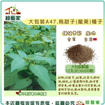 【綠藝家】00A47.大包裝烏甜子(龍葵)種子12公克(36000顆) 耐熱.抗乾旱.耐寒.抗濕冷. 葉菜類種子大包裝
