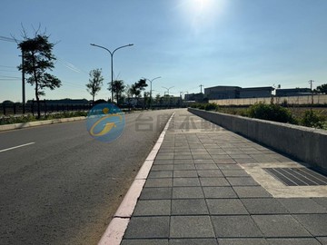 正月桃路三段農地｜桃園市觀音區廣福段