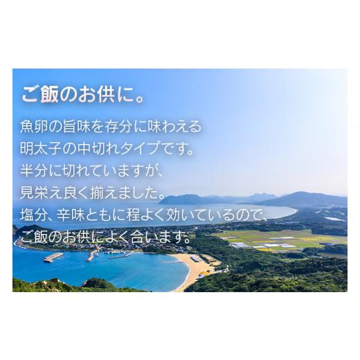 ふるさと納税 福岡県 みやこ町 海千の「徳用明太子セット（小切れ）」無着色 500g×2