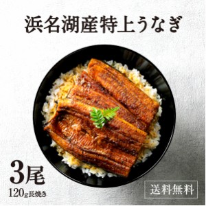 うなぎ    鰻 浜名湖 蒲焼き 3尾セット お歳暮 国産 ウナギ 母の日 父の日 お中元 贈答 敬老の日 ギフト 贈答用