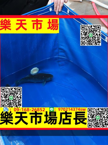 （高品質）魚池防水布帆布池養魚水箱油布家用游泳池方形水產養殖刀刮布水池