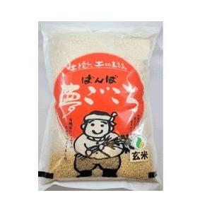 夢ごこち　玄米　2kg