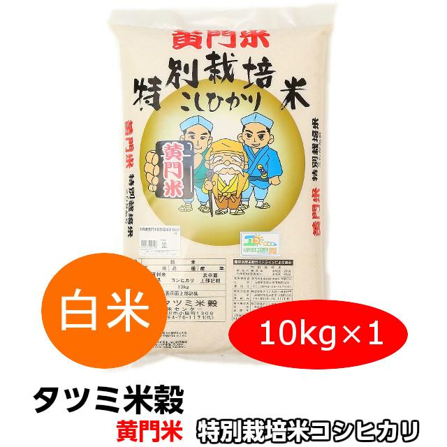 米 コシヒカリ こしひかり 黄門米 特別栽培米 白米 10kg 令和5年産 ギフト 茨城県 お米 こめ おこめ