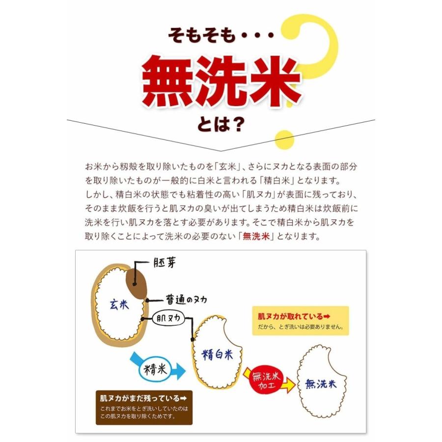 米 10kg 送料無料 無洗米 5kg ×2袋 お米 国産 白米 令和4年産 ブランド米 6割使用 ふるさと無洗米 熊本 7-14営業以内発送予定(土日祝除)