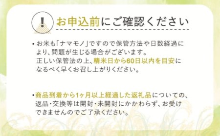 玄米 30kg 雪若丸 玄米 令和5年産 2023年産 玄米 山形県産 玄米 尾花沢市産 玄米 ja-ywgxa30