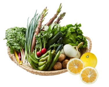 湯の花　旬の野菜と果物セット