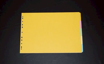 鼎盛 A3 紙質五色分段卡 125張 /包（訂製品，確認訂購後無法退換貨）