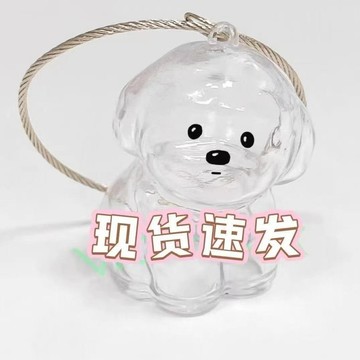 💥臺灣有貨💥免運💥可愛小狗收納透明毛髮寵物收納盒高顔值掛件裝飾紀念鑰匙扣創意 VFVX