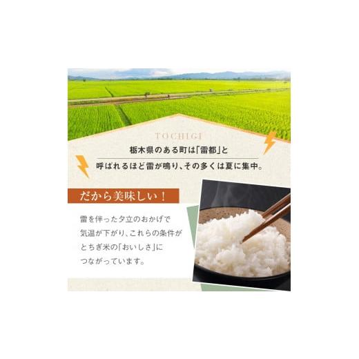 ふるさと納税 栃木県 真岡市 栃木県産 こしひかり 20kg×6回 真岡市 栃木県 送料無料