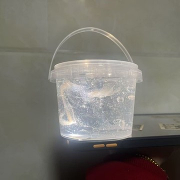 ⭐桃園出貨🔥網紅同款藍眼淚軟玻璃透泰史萊姆 藍眼淚起泡膠陶土玩具解壓新品 兒童玩具 益智玩具 生日禮物 玩具