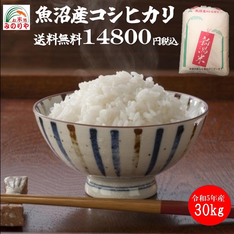 新米 令和5年産 新潟魚沼産 コシヒカリ 30kg  うまい米 米専門 みのりや　 ポイント消化 送料無料