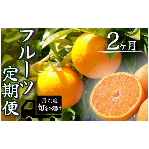 ふるさと納税 静岡県 南伊豆町 湯の花　旬のフルーツセット２か月間の定期便