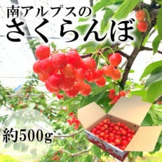 山梨県南アルプス市産　旬の採れたてさくらんぼ　500g